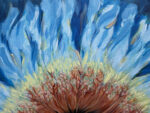 root_freedom_5